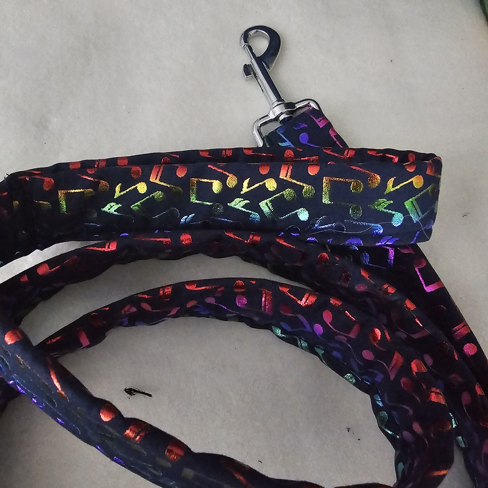 Rainbow Music Note Dog Leash